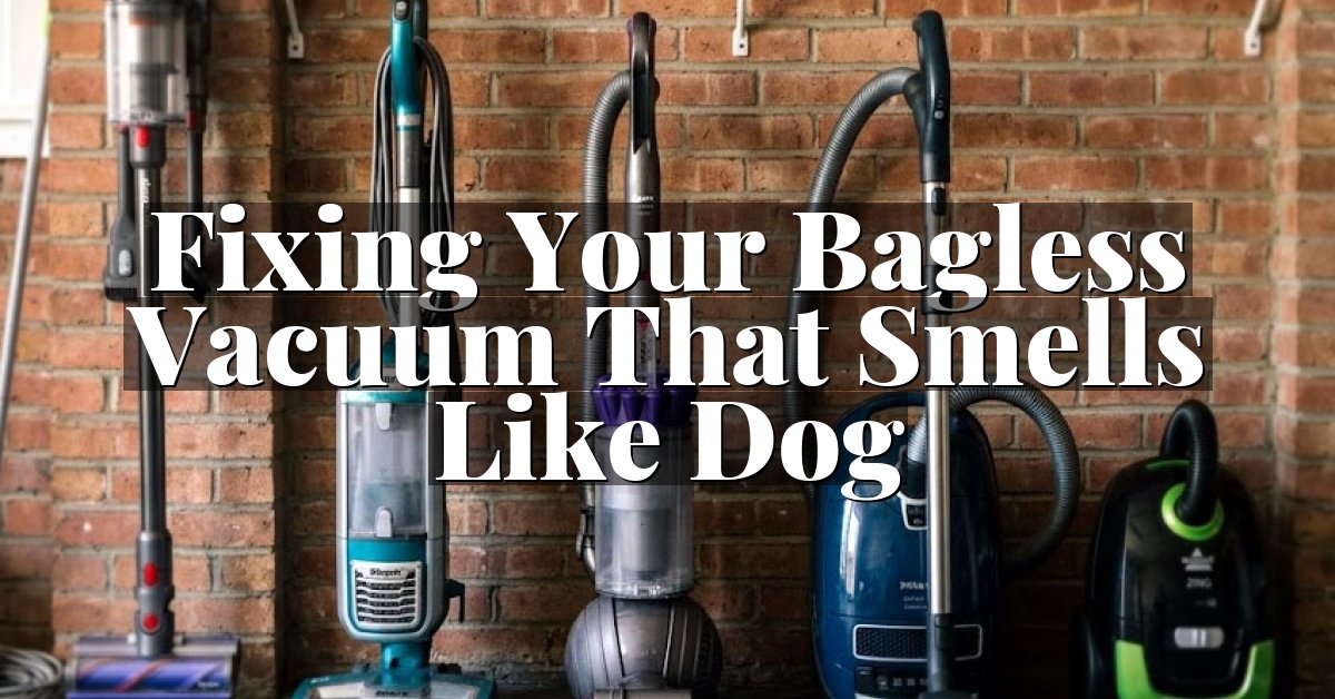 Fixing Your Bagless Vacuum That Smells Like Dog