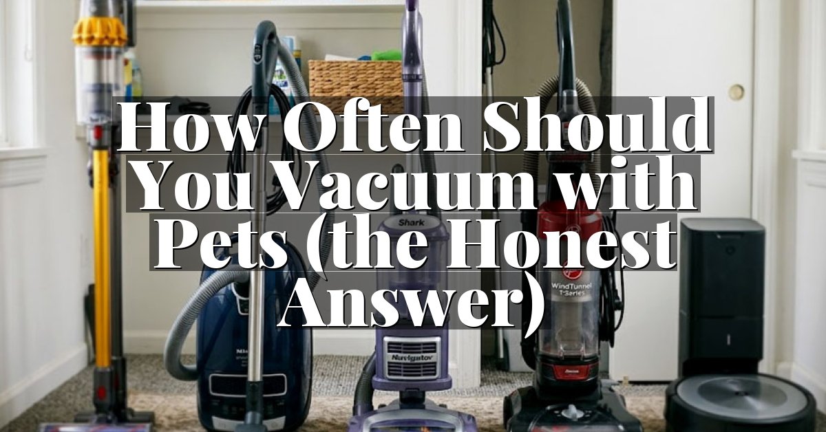 How Often Should You Vacuum with Pets (the Honest Answer)