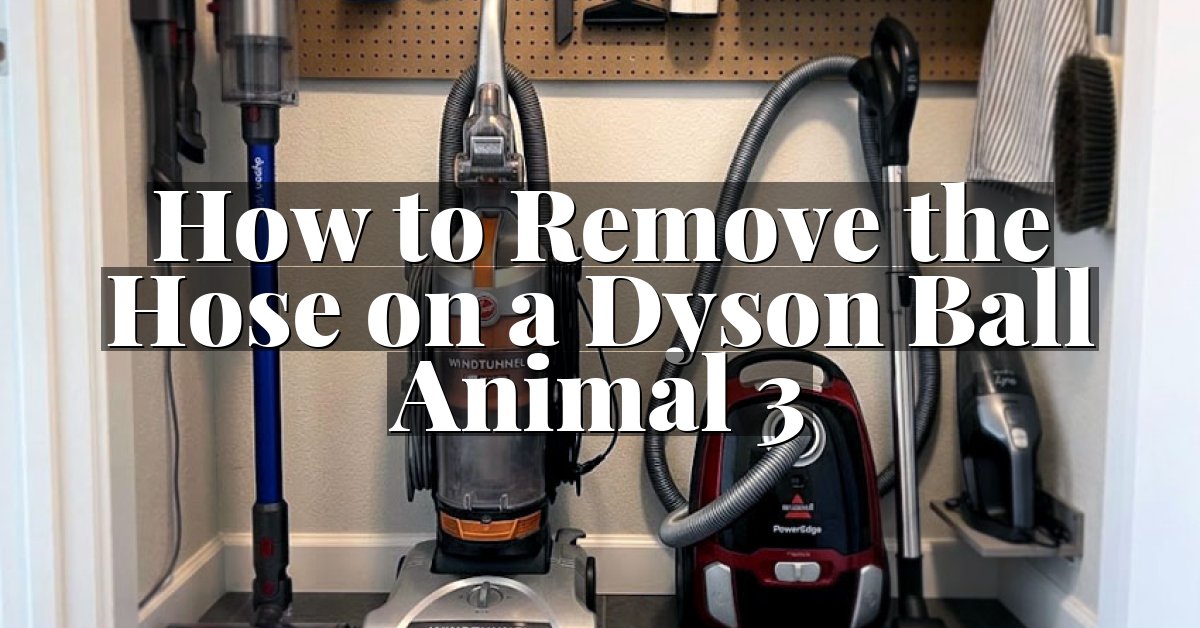 How to Remove the Hose on a Dyson Ball Animal 3